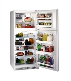 Frigidaire FGTD23V6GW Top Mount Refrigerator 220V