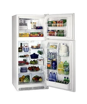 Frigidaire GLTT23V8GW/MW 20.5 CU.FT Top Mount Regrifigaotr 220V