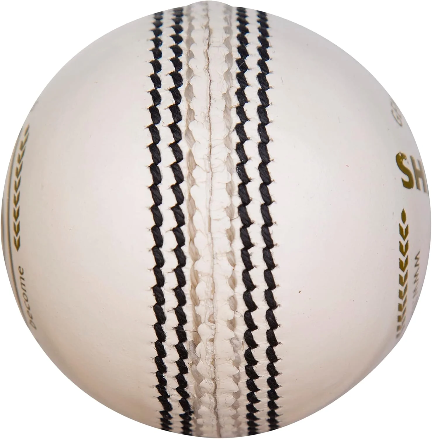 SG Cricket Shield 20 Premium Leather Ball - Image 2