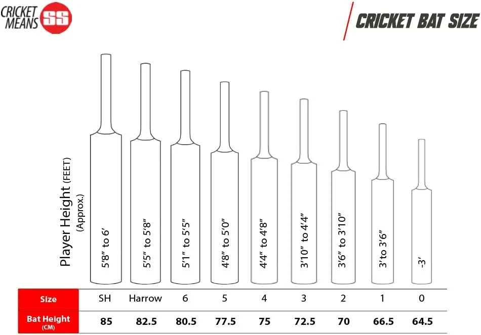 SS Sky Super Premium Cricket Kashmir Willow Leather Ball Cricket Bat Adult Size - Short Handle (Bat Cover Included) - Image 3