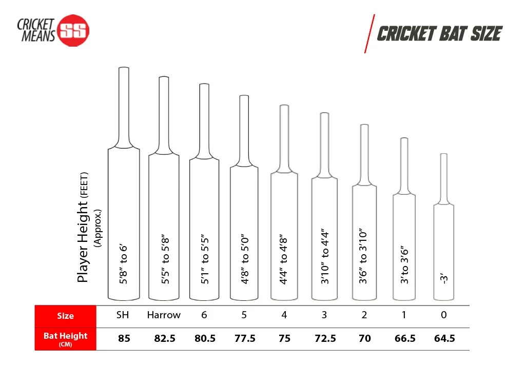 SS Slogger Kashmir Willow Cricket Bat with Bat Cover - Image 5
